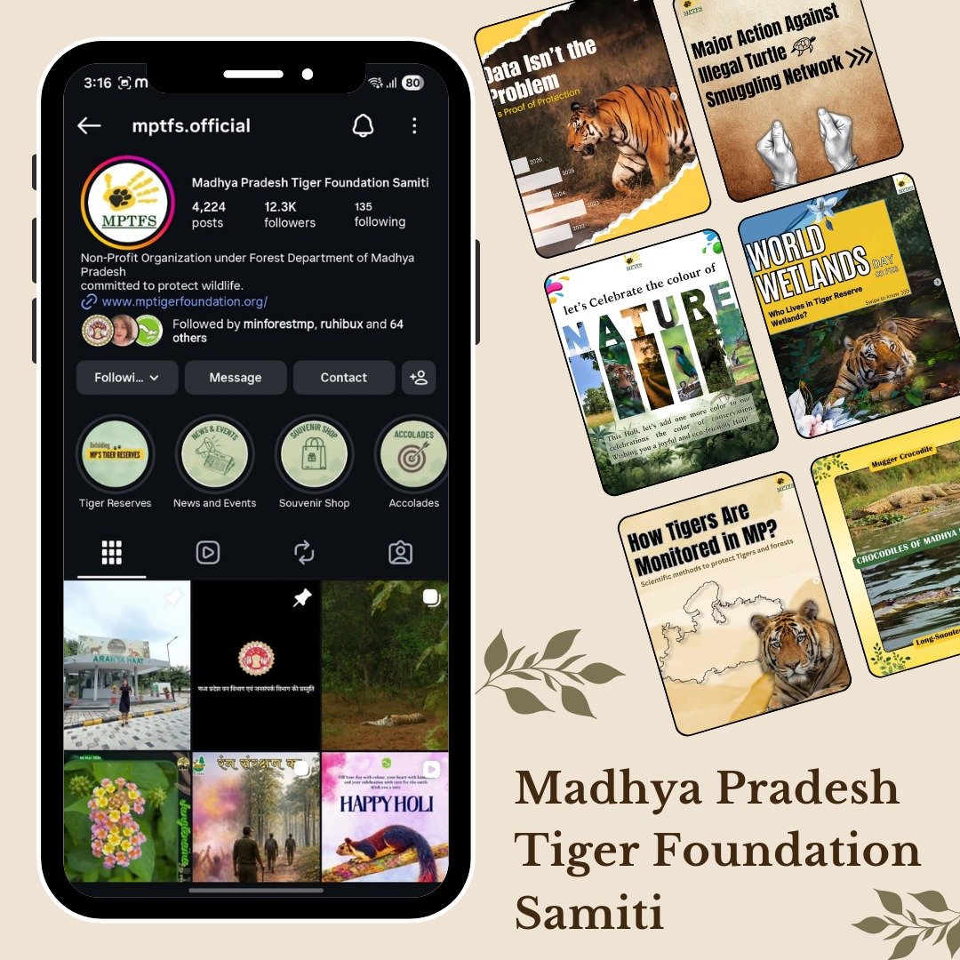 Mp Tiger Foundation